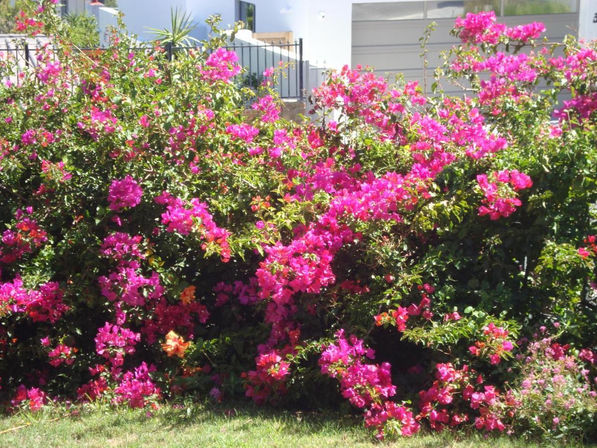 Marie'S Self-Catering Accomodation Cape Town Exterior photo